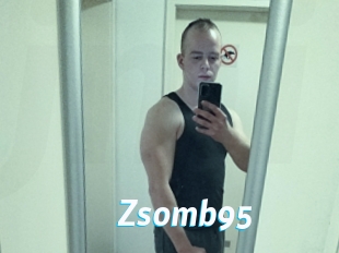 Zsomb95